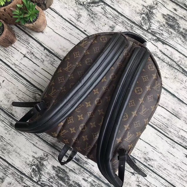 Louis vuitton original monogram palm springs backpack mm M41561