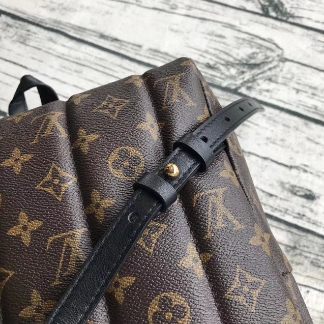 Louis vuitton original monogram palm springs backpack mm M41561