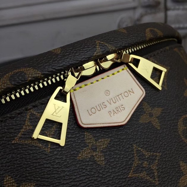 Louis vuitton original monogram canvas bumbag m43644