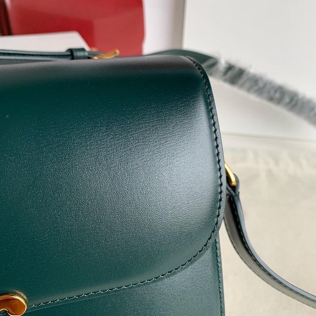 2019 Celine original calfskin medium triomphe bag 187363 green