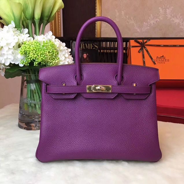 Hermes original togo leather birkin 25 bag H25-1 anemone