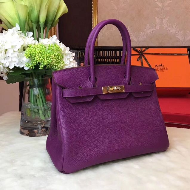 Hermes original togo leather birkin 25 bag H25-1 anemone