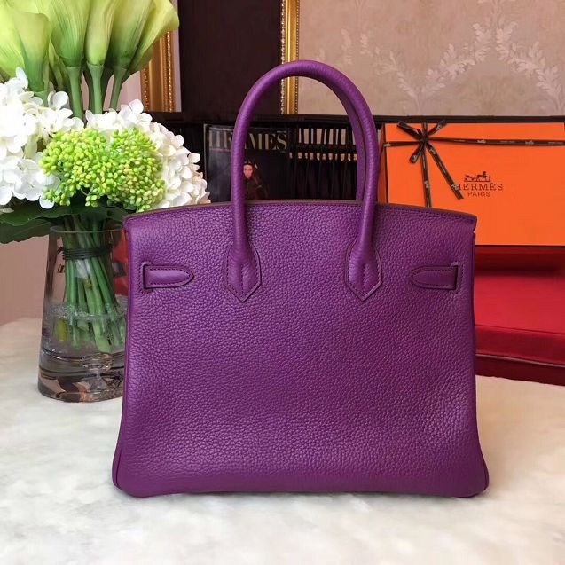 Hermes original togo leather birkin 25 bag H25-1 anemone