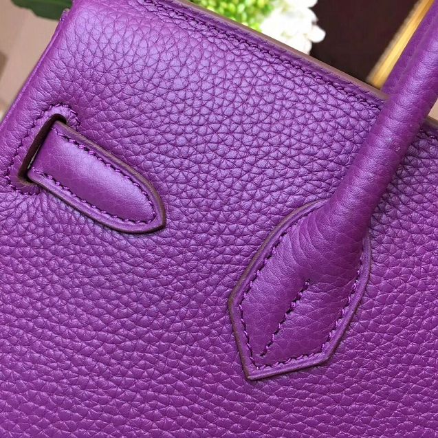 Hermes original togo leather birkin 25 bag H25-1 anemone