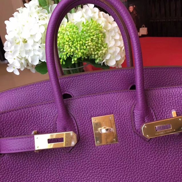 Hermes original togo leather birkin 25 bag H25-1 anemone