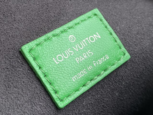 2023 Louis vuitton original lambskin coussin pm bag M57936 green