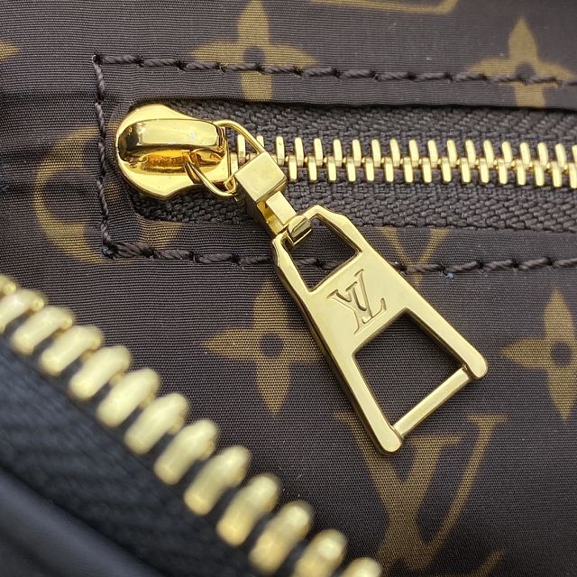 Louis vuitton original econyl speedy 25 M59008 black