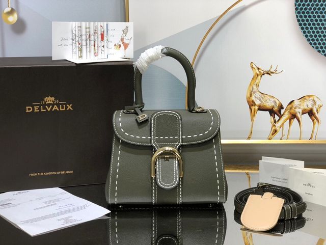 Delvaux original grained calfskin brillant mini bag AA0406 khaki green