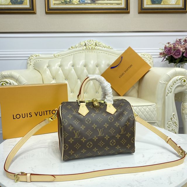 Louis vuitton original monogram canvas speedy 25 M41113