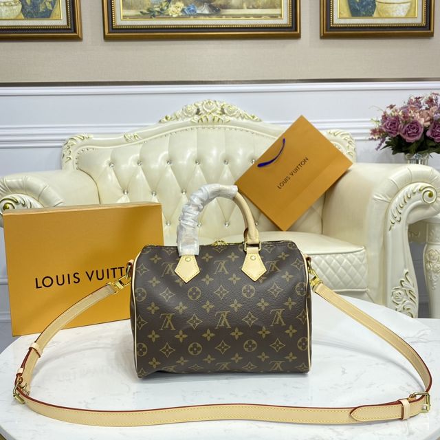 Louis vuitton original monogram canvas speedy 25 M41113