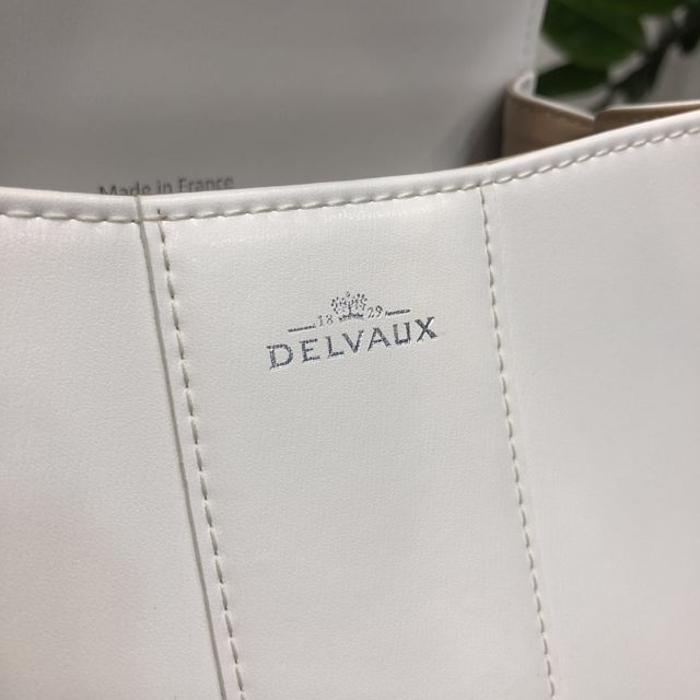 Delvaux original box calfskin brillant mini bag AA0406 white