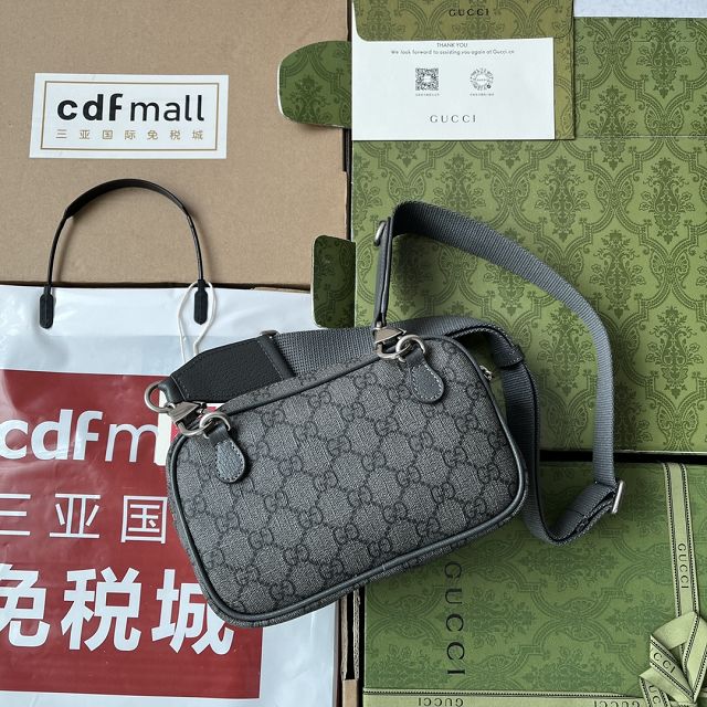 2023 GG original canvas ophidia mini bag 746308 grey