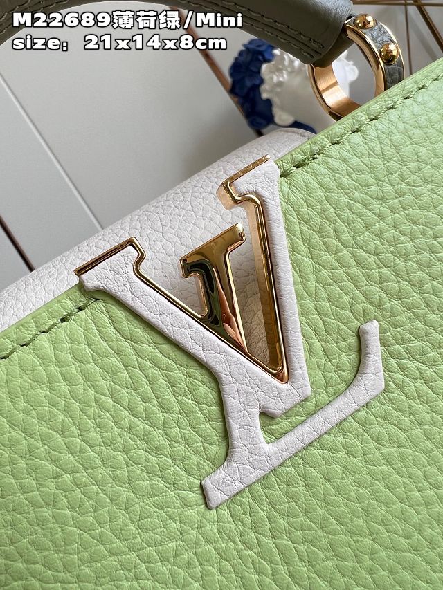 Louis vuitton original calfskin capucines mini handbag M48865 light green