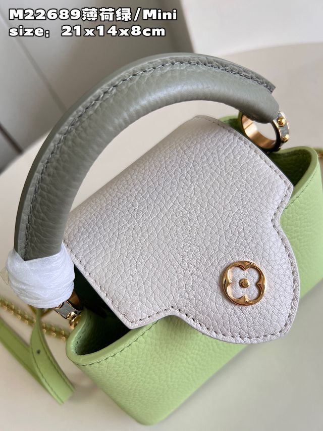 Louis vuitton original calfskin capucines mini handbag M48865 light green