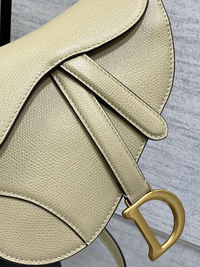 Dior original grained calfskin mini saddle bag M0456 sand