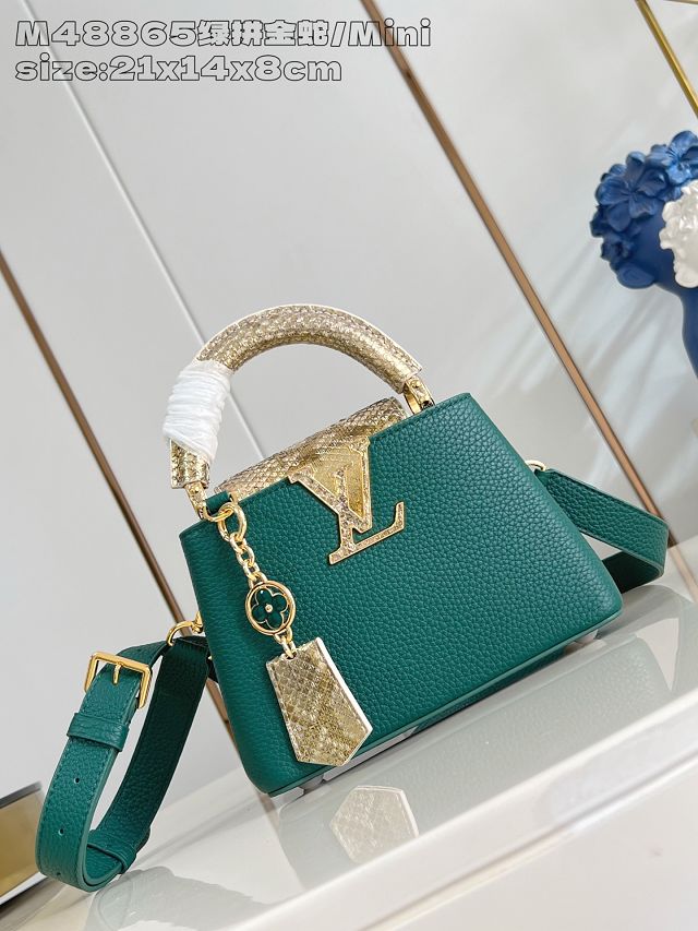 Louis vuitton original calfskin capucines mini handbag N85517 green