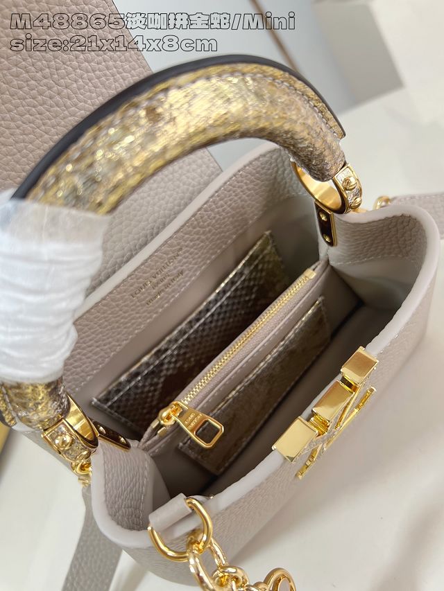 Louis vuitton original calfskin capucines mini handbag N85517 grey