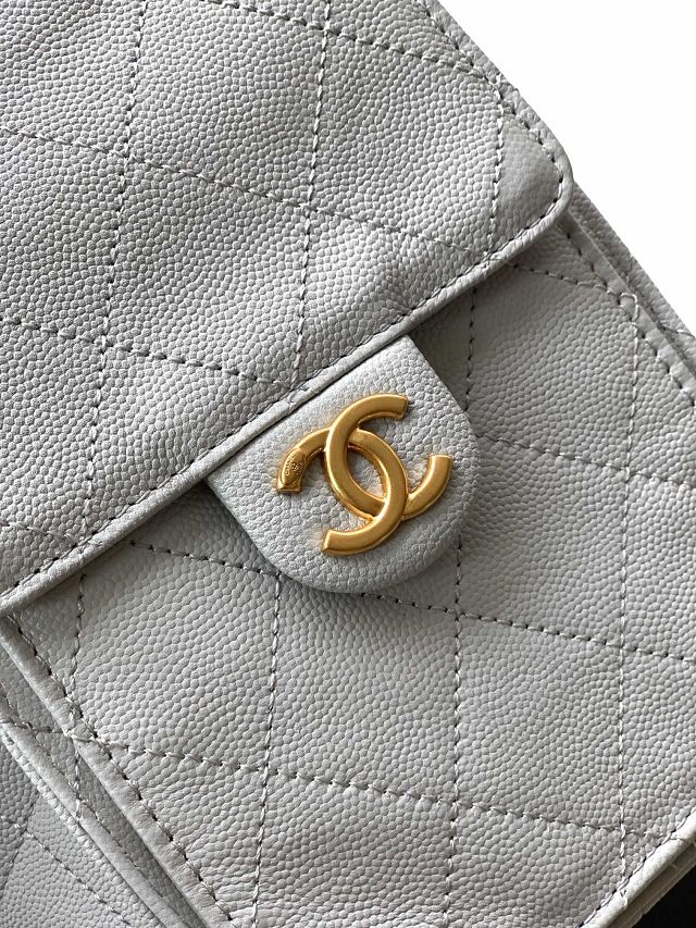 CC original grained calfskin 25 small handbag AS5293 light grey