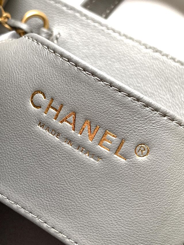 CC original suede calfskin 25 backpack AS5600 grey