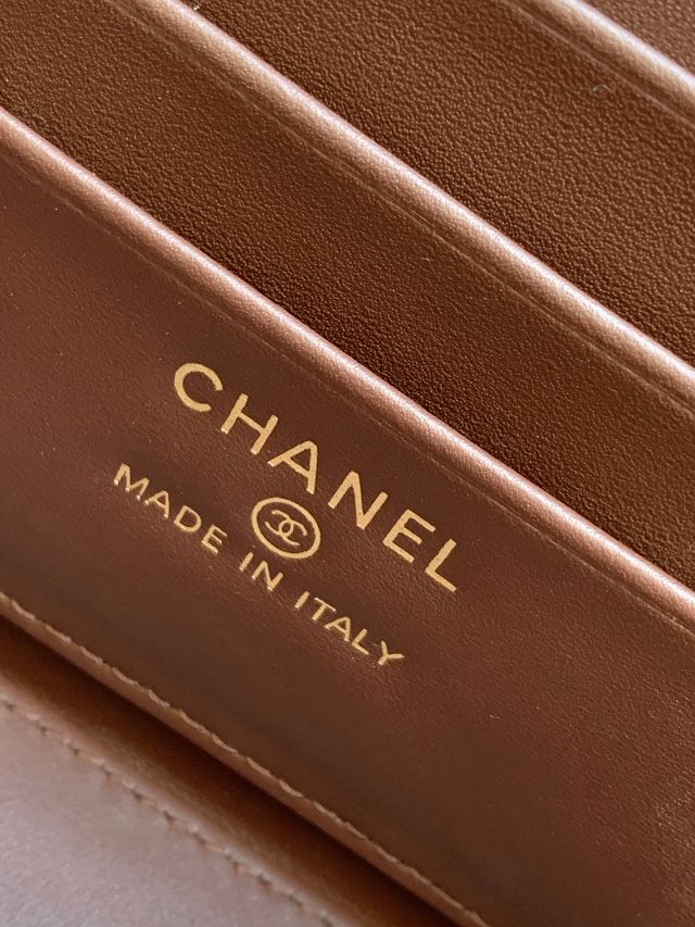 CC original grained calfskin vanity with chain AP4936 dark brown