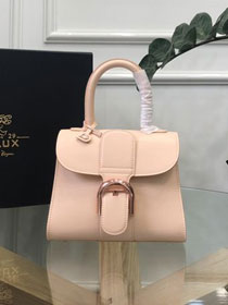 Delvaux original box calfskin brillant mini bag AA0406 apricot