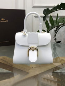 Delvaux original box calfskin brillant mini bag AA0406 white