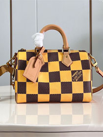 Louis vuitton origianl damier canvas speedy 25 N40584 yellow